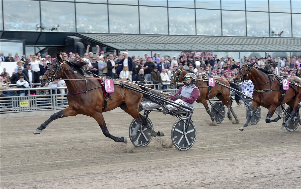 Franskt Firande I Elitloppet – Hohneck Omöjlig Att Fånga | ATG